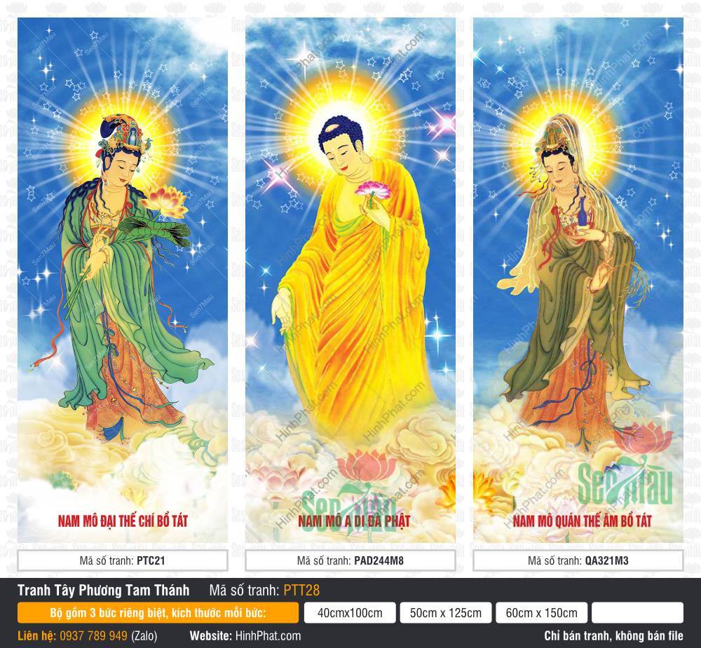Hình Tây Phương Tam Thánh Khổ Lớn PTT28 Hình Tây Phương Tam Thánh Khổ Lớn PTT28 khắc họa ba vị thánh ngự đài sen vàng rực rỡ