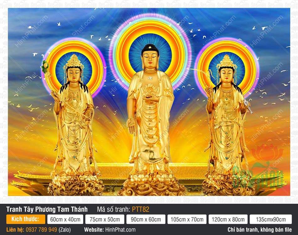 Hình Tây Phương Tam Thánh Khổ Lớn PTT82 Hình Tây Phương Tam Thánh Khổ Lớn PTT82 tôn tượng vàng tỏa hào quang rực rỡ