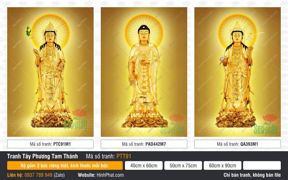 Hình Tây Phương Tam Thánh Khổ Lớn PTT91 Hình Tây Phương Tam Thánh Khổ Lớn PTT91 tôn tượng dát vàng