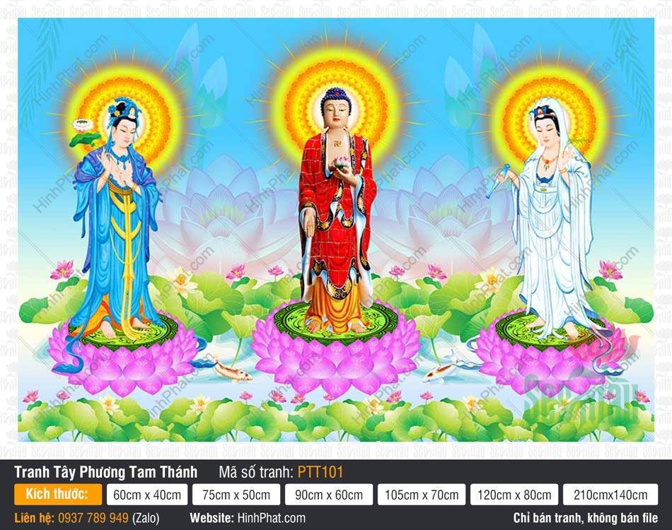 Hình Tây Phương Tam Thánh kích thước lớn PTT101 Hình Tây Phương Tam Thánh kích thước lớn PTT101 ngự trên đài sen hồng giữa hồ liên hoa rực rỡ