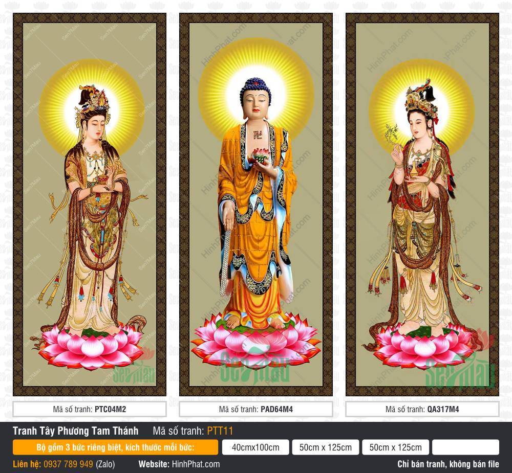 Hình Tây Phương Tam Thánh kích thước lớn PTT11 Hình Tây Phương Tam Thánh kích thước lớn PTT11 với ba vị đứng trên đài sen hồng rực rỡ