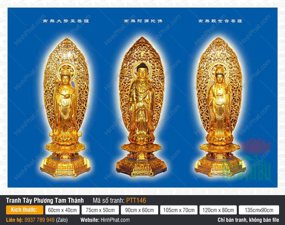 Hình Tây Phương Tam Thánh kích thước lớn PTT146 Hình Tây Phương Tam Thánh kích thước lớn PTT146 ba vị tượng vàng đứng nền xanh