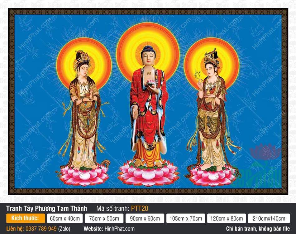 Hình Tây Phương Tam Thánh kích thước lớn PTT20 Hình Tây Phương Tam Thánh kích thước lớn PTT20 đứng trên đài sen hồng nền xanh dương thanh khiết