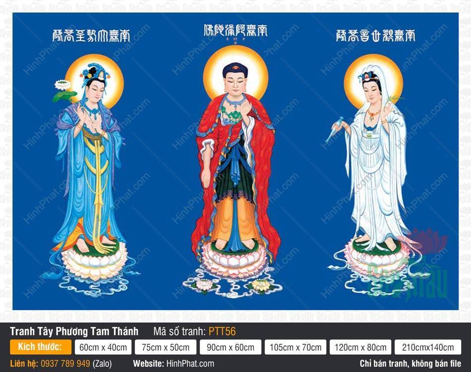 Hình Tây Phương Tam Thánh kích thước lớn PTT56 Hình Tây Phương Tam Thánh kích thước lớn đứng trên đài sen nền xanh