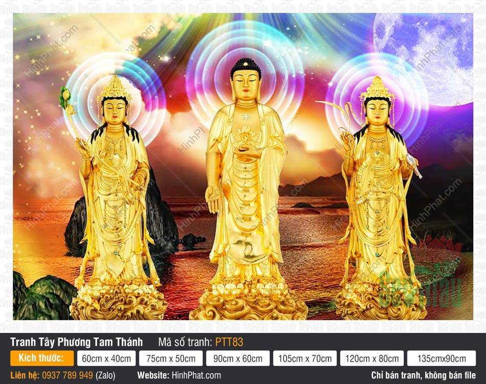 Hình Tây Phương Tam Thánh kích thước lớn PTT83 Hình Tây Phương Tam Thánh kích thước lớn PTT83 ba pho tượng vàng trên biển