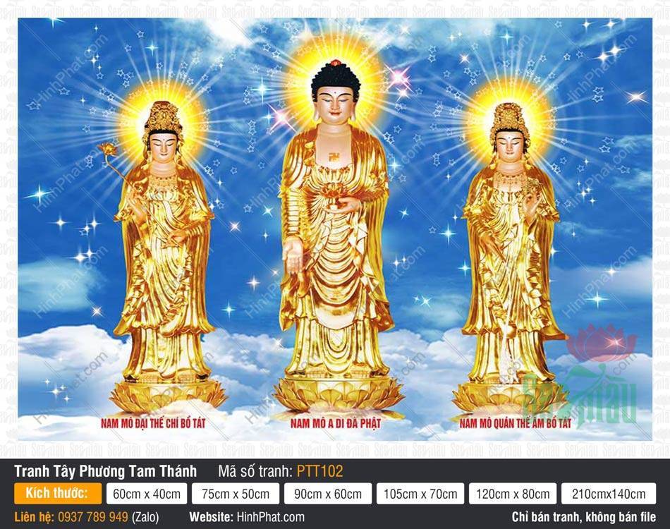 Tây Phương Tam Thánh PTT102 Tây Phương Tam Thánh PTT102 tôn tượng vàng đứng trên đài sen giữa trời xanh mây trắng và ánh sao