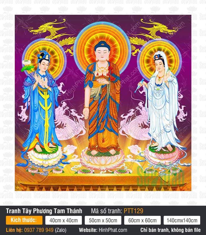 Tây Phương Tam Thánh PTT129 Tây Phương Tam Thánh PTT129 với ba đức Phật đứng trên đài sen giữa nền tím họa tiết rồng phượng