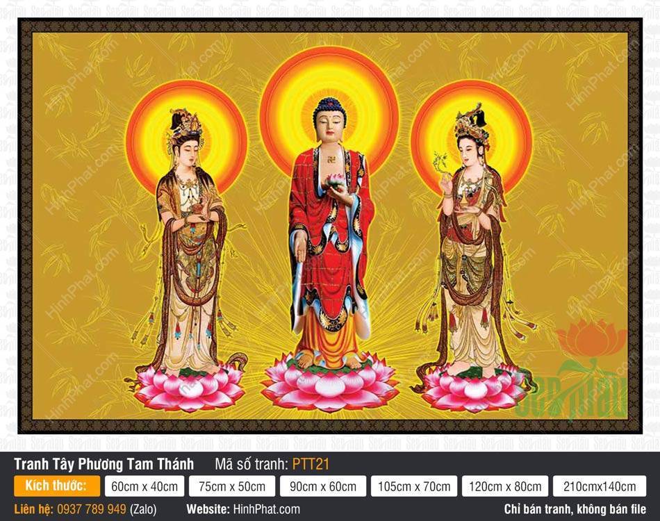 Tây Phương Tam Thánh PTT21 Hình Tây Phương Tam Thánh PTT21 ba vị Phật đứng trên đài sen hồng nền vàng rực rỡ
