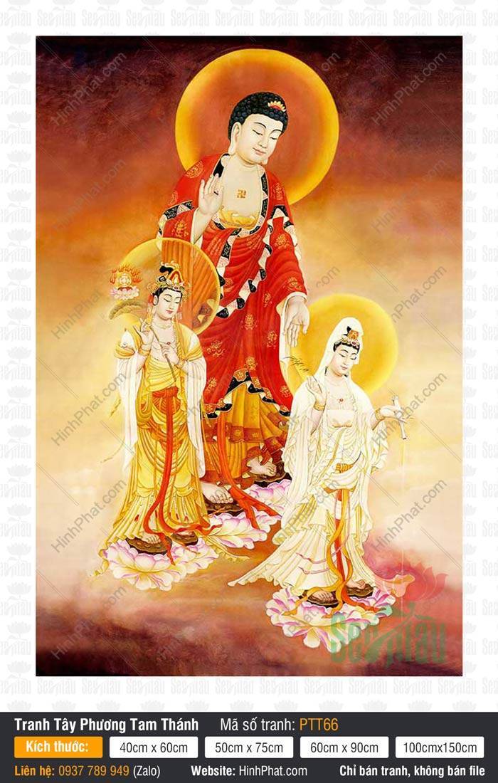 Tây Phương Tam Thánh PTT66 Tây Phương Tam Thánh PTT66 bố cục dọc trên nền hào quang vàng ấm