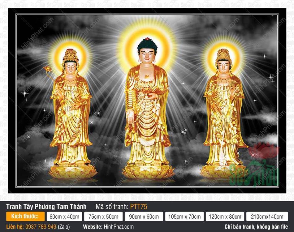 Tây Phương Tam Thánh PTT75 Tây Phương Tam Thánh PTT75 với tôn tượng khoác y vàng kim rực rỡ ngự đài sen