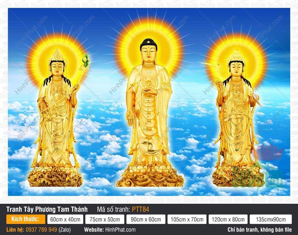 Tây Phương Tam Thánh PTT84 Tây Phương Tam Thánh PTT84 tượng vàng kim ngự đài sen giữa bầu trời mây trắng