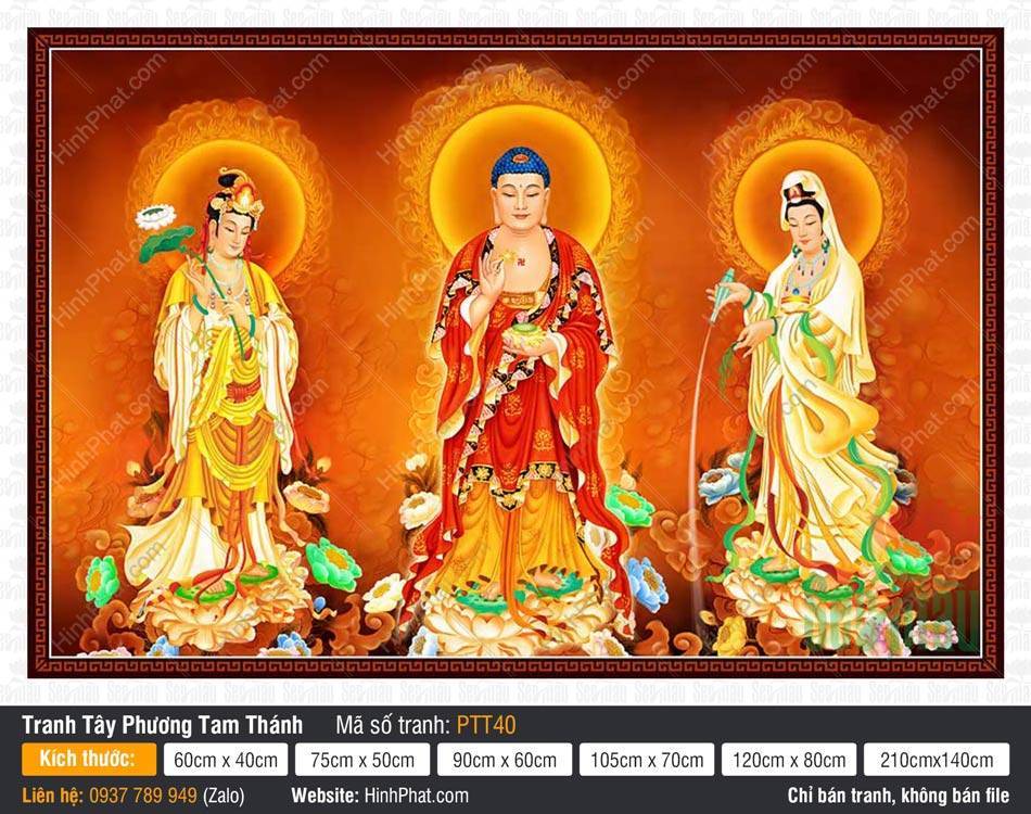 Tây Phương Tam Thánh Đẹp PTT40 Tây Phương Tam Thánh Đẹp PTT40 khắc họa ba vị thánh ngự trên đài sen giữa hào quang vàng và mây ấm