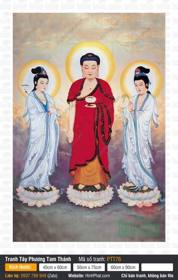 Tây Phương Tam Thánh Đẹp PTT76 Tây Phương Tam Thánh Đẹp PTT76 đứng trên đài sen trắng trang nghiêm