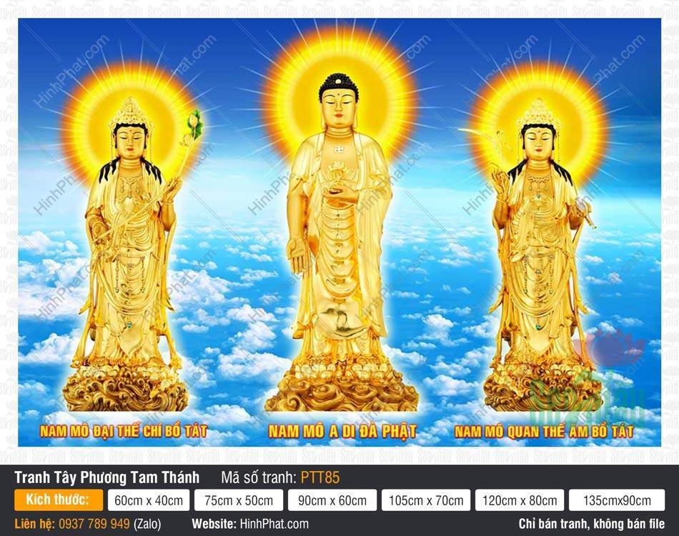 Tây Phương Tam Thánh Đẹp PTT85 Tây Phương Tam Thánh Đẹp PTT85 tôn tượng vàng óng ánh giữa bầu trời mây trắng.