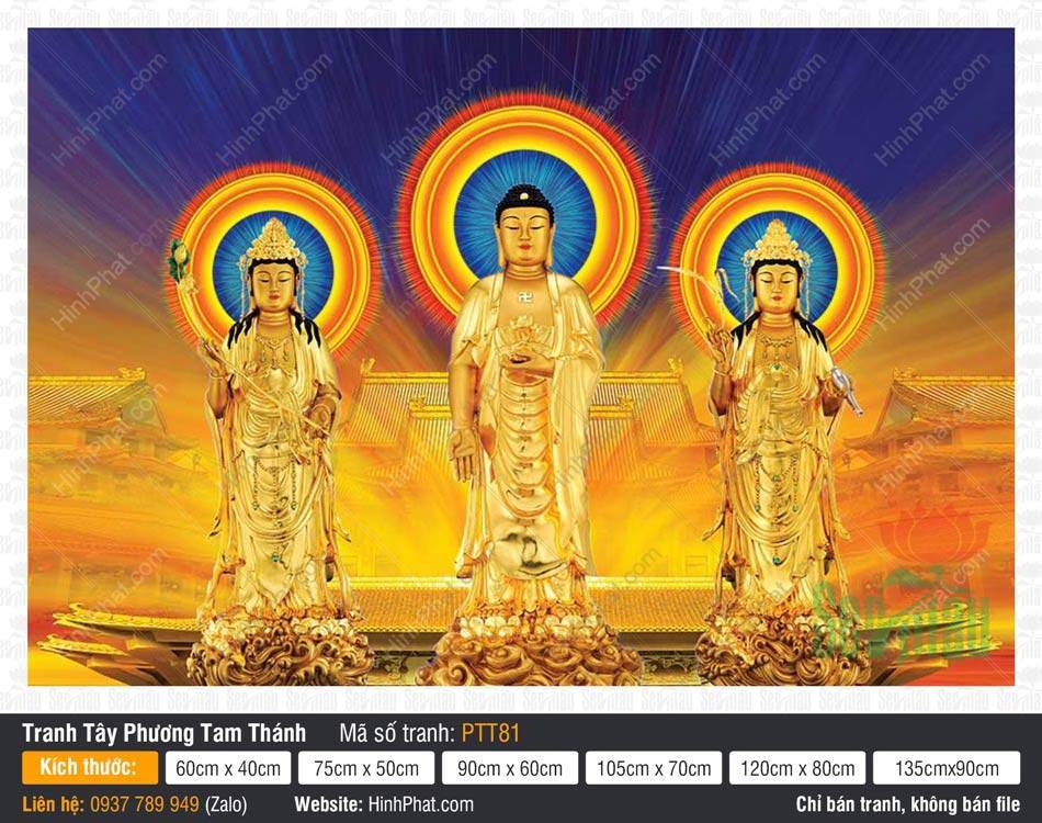Tây Phương Tam Thánh Khổ Lớn PTT81 Tây Phương Tam Thánh Khổ Lớn tượng vàng kim ngự trước bảo điện
