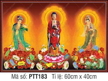 Ảnh Tây Phương Tam Thánh Khổ Lớn PTT183, Ba Vị Phật Đứng Đài Sen Ảnh Tây Phương Tam Thánh Khổ Lớn PTT183, Ba Vị Phật Đứng Đài Sen