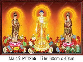 Ảnh Tây Phương Tam Thánh Khổ Lớn PTT255, hào quang rực rỡ