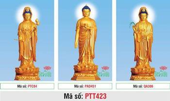 Ảnh Tây Phương Tam Thánh Khổ Lớn PTT423, tôn tượng vàng đứng đài sen Ảnh Tây Phương Tam Thánh Khổ Lớn PTT423, tôn tượng vàng đứng đài sen