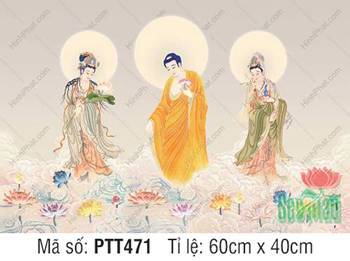 Ảnh Tây Phương Tam Thánh Khổ Lớn PTT471, ngự trên biển mây ngũ sắc Ảnh Tây Phương Tam Thánh Khổ Lớn PTT471, ngự trên biển mây ngũ sắc