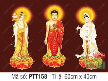 Ảnh Tây Phương Tam Thánh PTT158, ba pho tượng đứng đài sen rực rỡ