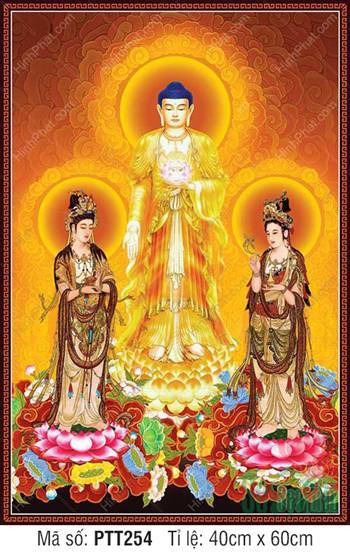 Ảnh Tây Phương Tam Thánh PTT254, hào quang vàng kim tỏa rạng