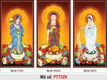 Ảnh Tây Phương Tam Thánh PTT326, bộ ba tôn tượng đứng đài sen Ảnh Tây Phương Tam Thánh PTT326, bộ ba tôn tượng đứng đài sen