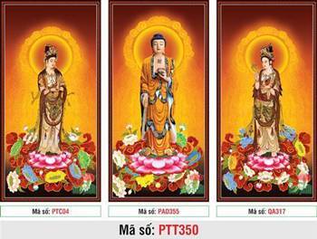 Ảnh Tây Phương Tam Thánh PTT350, Ba Ngài mặc y vàng uy nghi Ảnh Tây Phương Tam Thánh PTT350, Ba Ngài mặc y vàng uy nghi