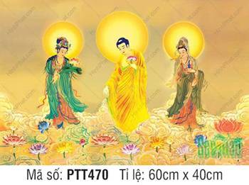 Ảnh Tây Phương Tam Thánh PTT470, ba Ngài ngự trên mây vàng cực đẹp Ảnh Tây Phương Tam Thánh PTT470, ba Ngài ngự trên mây vàng cực đẹp