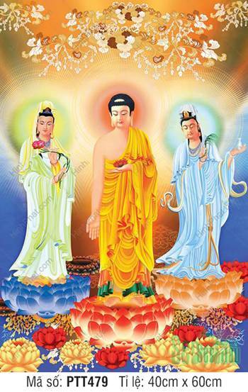 Ảnh Tây Phương Tam Thánh PTT479, rực rỡ đài sen và hào quang vàng Ảnh Tây Phương Tam Thánh PTT479, rực rỡ đài sen và hào quang vàng
