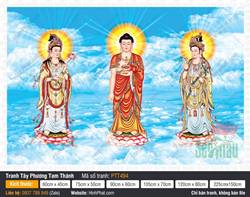 Ảnh Tây Phương Tam Thánh Tiếp Dẫn PTT494