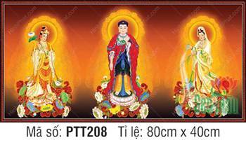 Bộ Hình Ảnh Đẹp Về Tây Phương Tam Thánh PTT208, diện tượng từ bi Bộ Hình Ảnh Đẹp Về Tây Phương Tam Thánh PTT208, diện tượng từ bi
