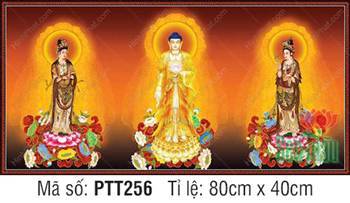 Bộ Hình Ảnh Đẹp Về Tây Phương Tam Thánh PTT256, Ba vị ngự đài sen