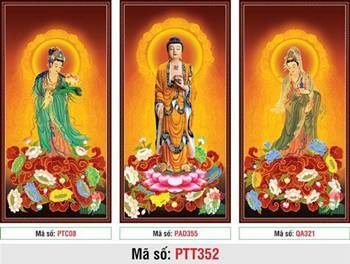 Bộ Hình Ảnh Đẹp Về Tây Phương Tam Thánh PTT352, ba tấm uy nghi đứng Bộ Hình Ảnh Đẹp Về Tây Phương Tam Thánh PTT352, ba tấm uy nghi đứng