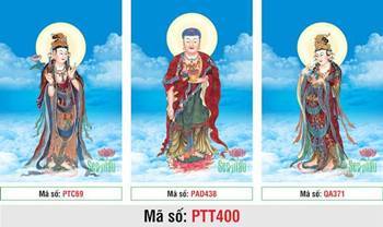 Bộ Hình Ảnh Đẹp Về Tây Phương Tam Thánh PTT400, Ba Ngài ngự đài sen