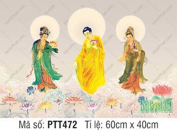 Bộ Hình Ảnh Đẹp Về Tây Phương Tam Thánh PTT472, Phật mặc y vàng Bộ Hình Ảnh Đẹp Về Tây Phương Tam Thánh PTT472, Phật mặc y vàng