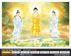 Bộ Tây Phương Tam Thánh PTT478, Tranh Tam Thánh