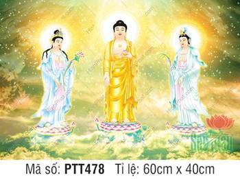 Bộ Tây Phương Tam Thánh PTT478, hào quang vàng tỏa sáng Bộ Tây Phương Tam Thánh PTT478, hào quang vàng tỏa sáng