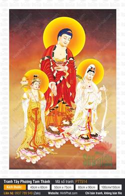 Bộ Tây Phương Tam Thánh PTT514
