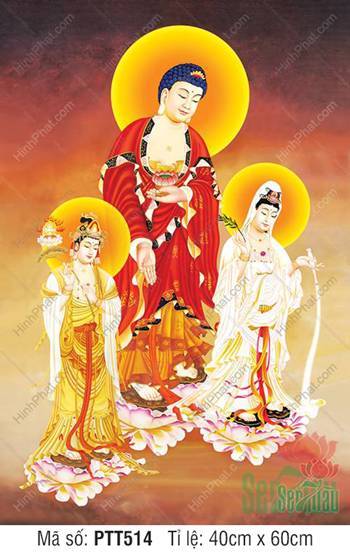 Bộ Tây Phương Tam Thánh PTT514, Ba Ngài ngự đài sen hồng
