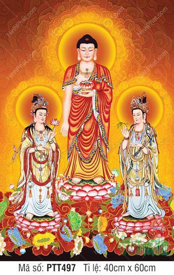 Hình Ảnh Phật Tây Phương Tam Thánh PTT497, Ba Ngài ngự sen hồng