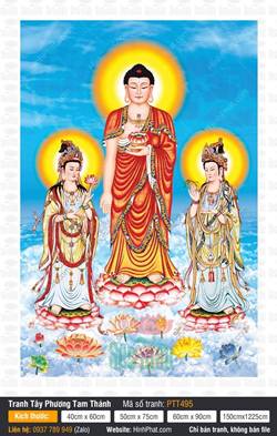 Hình Ảnh Tây Phương Tam Thánh Đẹp PTT495