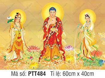Hình Ảnh Tây Phương Tam Thánh PTT484, Ba Ngài đứng giữa ao sen