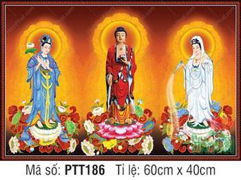 Hình Tây Phương Tam Thánh A Di Đà Phật PTT186, Ba Vị Phật Đứng Đài Sen Hình Tây Phương Tam Thánh A Di Đà Phật PTT186, Ba Vị Phật Đứng Đài Sen