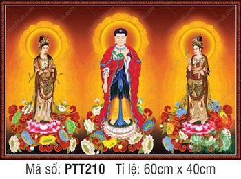 Hình Tây Phương Tam Thánh A Di Đà Phật PTT210, ba vị Phật y đỏ Hình Tây Phương Tam Thánh A Di Đà Phật PTT210, ba vị Phật y đỏ