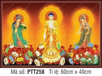 Hình Tây Phương Tam Thánh A Di Đà Phật PTT258, sắc vàng uy nghi