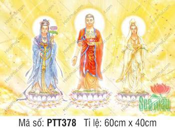 Hình Tây Phương Tam Thánh A Di Đà Phật PTT378, Ánh Hào Quang Vàng Rực
