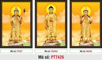 Hình Tây Phương Tam Thánh A Di Đà Phật PTT426, sắc vàng uy nghiêm Hình Tây Phương Tam Thánh A Di Đà Phật PTT426, sắc vàng uy nghiêm