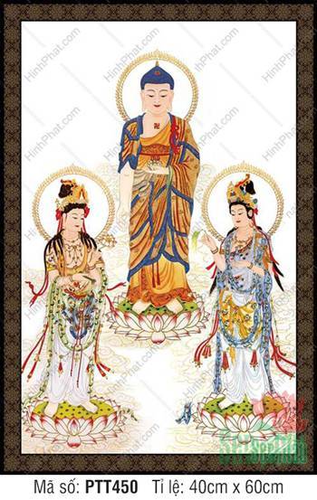 Hình Tây Phương Tam Thánh A Di Đà Phật PTT450, tôn tượng đứng đài sen Hình Tây Phương Tam Thánh A Di Đà Phật PTT450, tôn tượng đứng đài sen