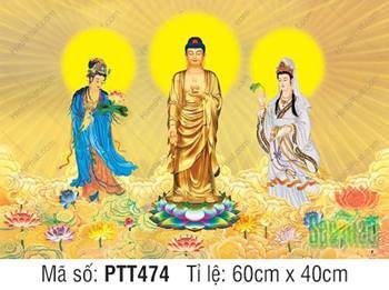 Hình Tây Phương Tam Thánh A Di Đà Phật PTT474, ánh hào quang vàng rực Hình Tây Phương Tam Thánh A Di Đà Phật PTT474, ánh hào quang vàng rực