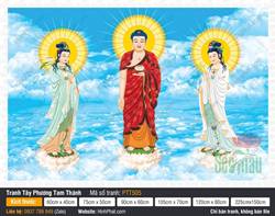 Hình Tây Phương Tam Thánh A Di Đà Phật PTT505
